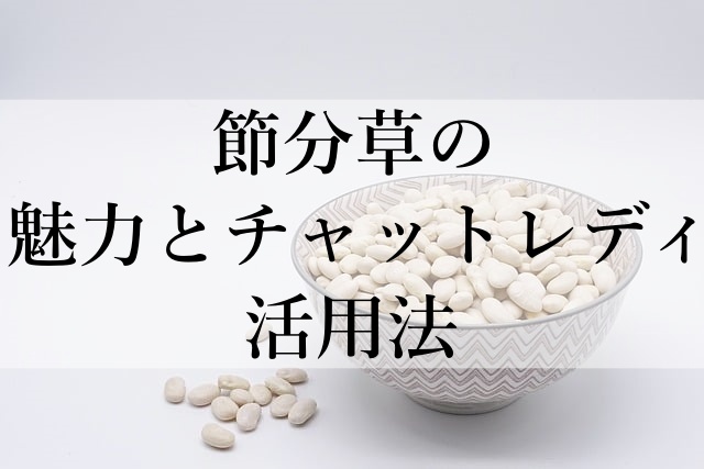 節分草の魅力とチャットレディ活用法