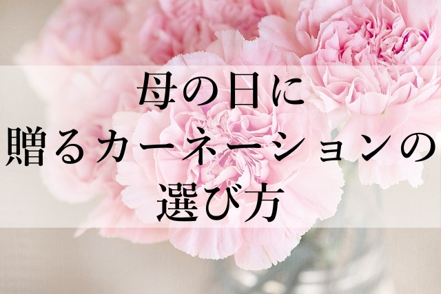 母の日に贈るカーネーションの選び方